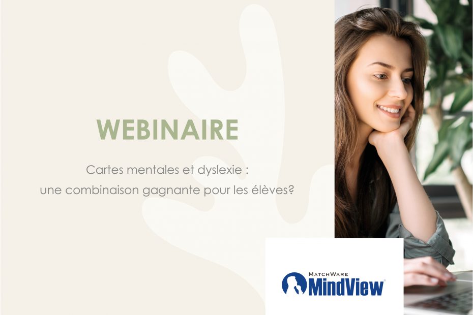 webinaire mindview