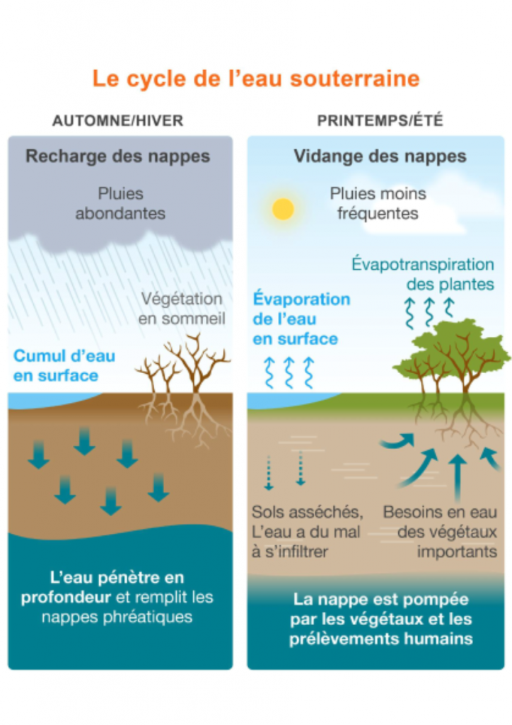 Brief.science, l'antidote aux fake news sur le changement climatique