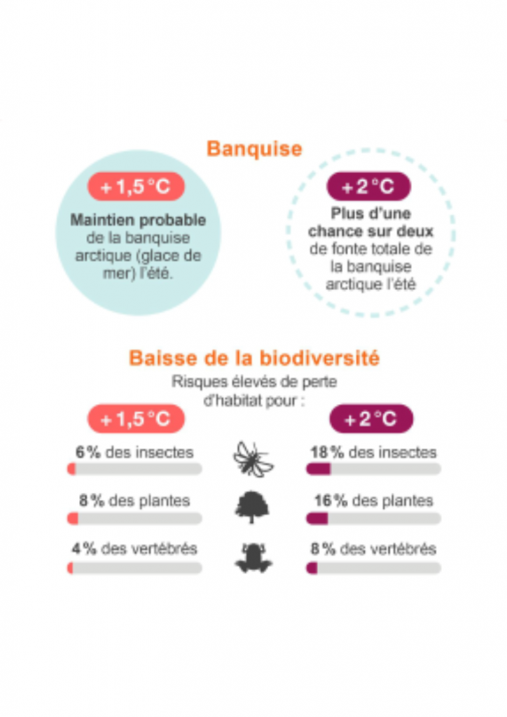 Brief.science, l'antidote aux fake news sur le changement climatique